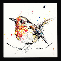 Print Open Edition Animals - Peekaboo-30 x 30-Black Box Frame (No Mount)