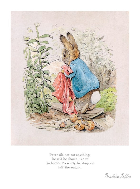 Peter Rabbit - Peter Did Not Eat Anything