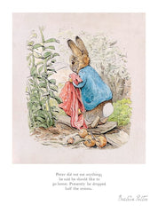Peter Rabbit - Peter Let the Handkerchief Go