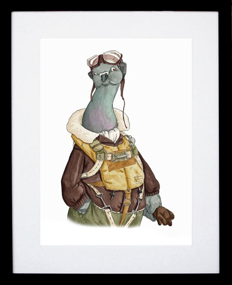 Animals - Pigeon Black Frame