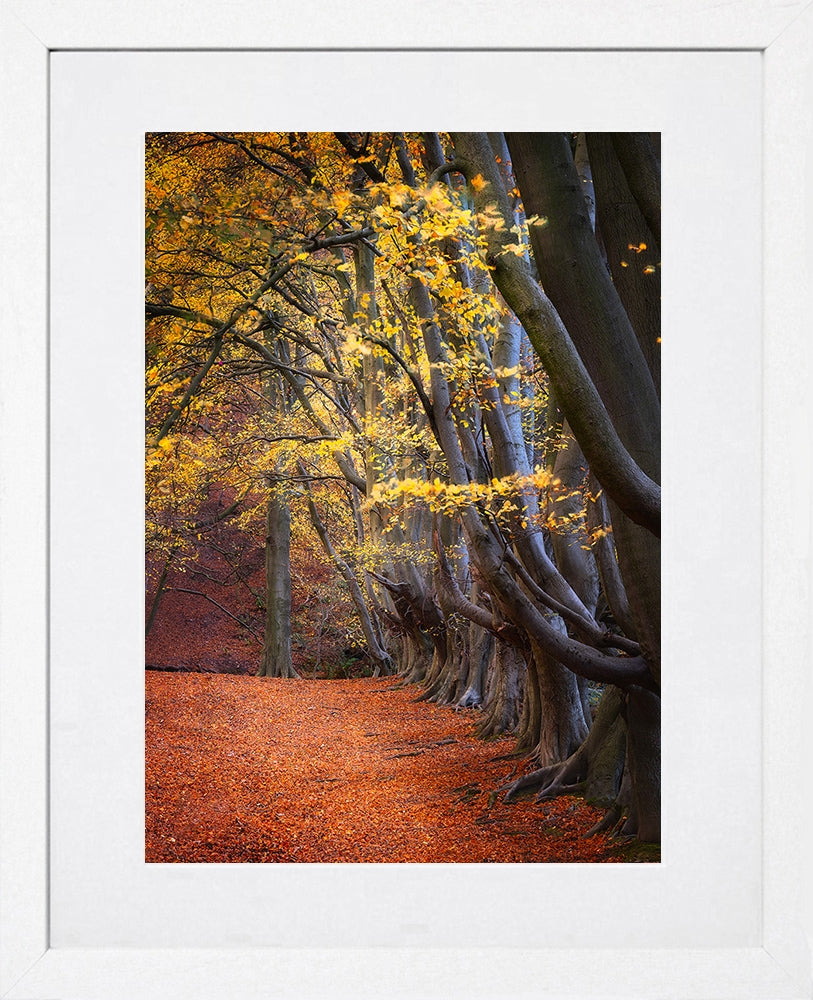 Pillars Of The Community White Frame