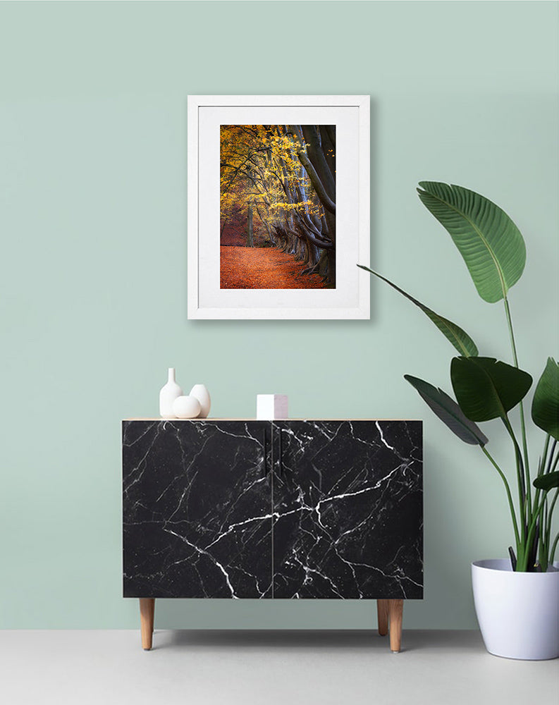 Pillars Of The Community