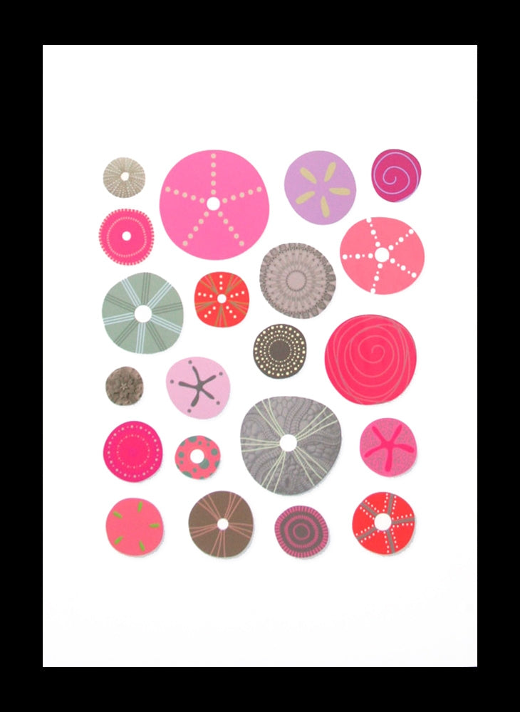 Sea Urchins Pinks Framed