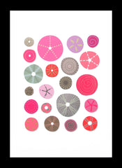 Sea Urchins Pinks Framed