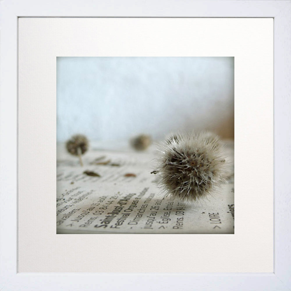 Piquant Blanc White Frame
