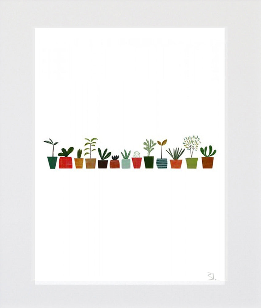 Plants Unframed