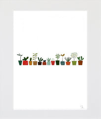 Plants Unframed