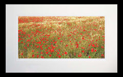 Other - Poppies In Gold Flat Black Frame