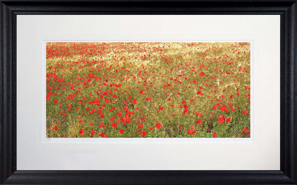 Other - Poppies In Gold Frame Black Moulded 71X45