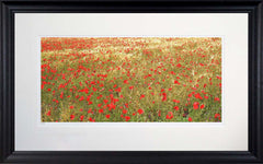 Other - Poppies In Gold Frame Black Moulded 71X45
