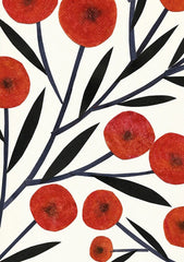 Poppies