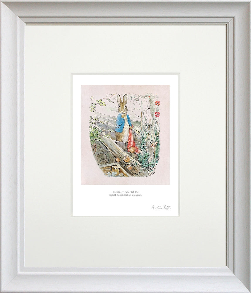 Peter Rabbit - Peter Let the Handkerchief Go - Framed