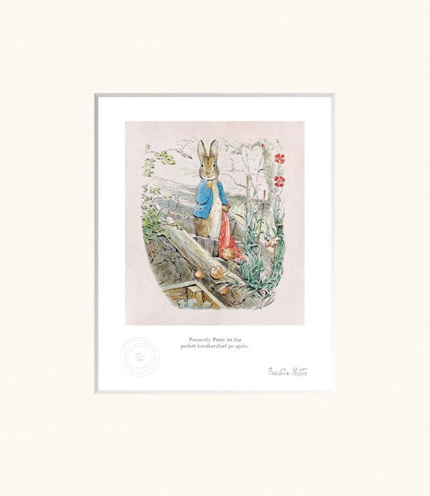 Peter Rabbit - Peter Let the Handkerchief Go - Unframed
