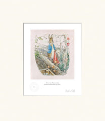 Peter Rabbit - Peter Let the Handkerchief Go - Unframed