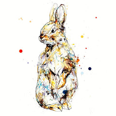 Print Open Edition Animals - Pumpkin-30 x 30-Unframed