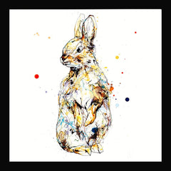 Print Open Edition Animals - Pumpkin-30 x 30-Black Box Frame (No Mount)