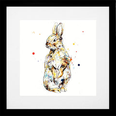 Print Open Edition Animals - Pumpkin-30 x 30-Black Box Frame (With Mount)