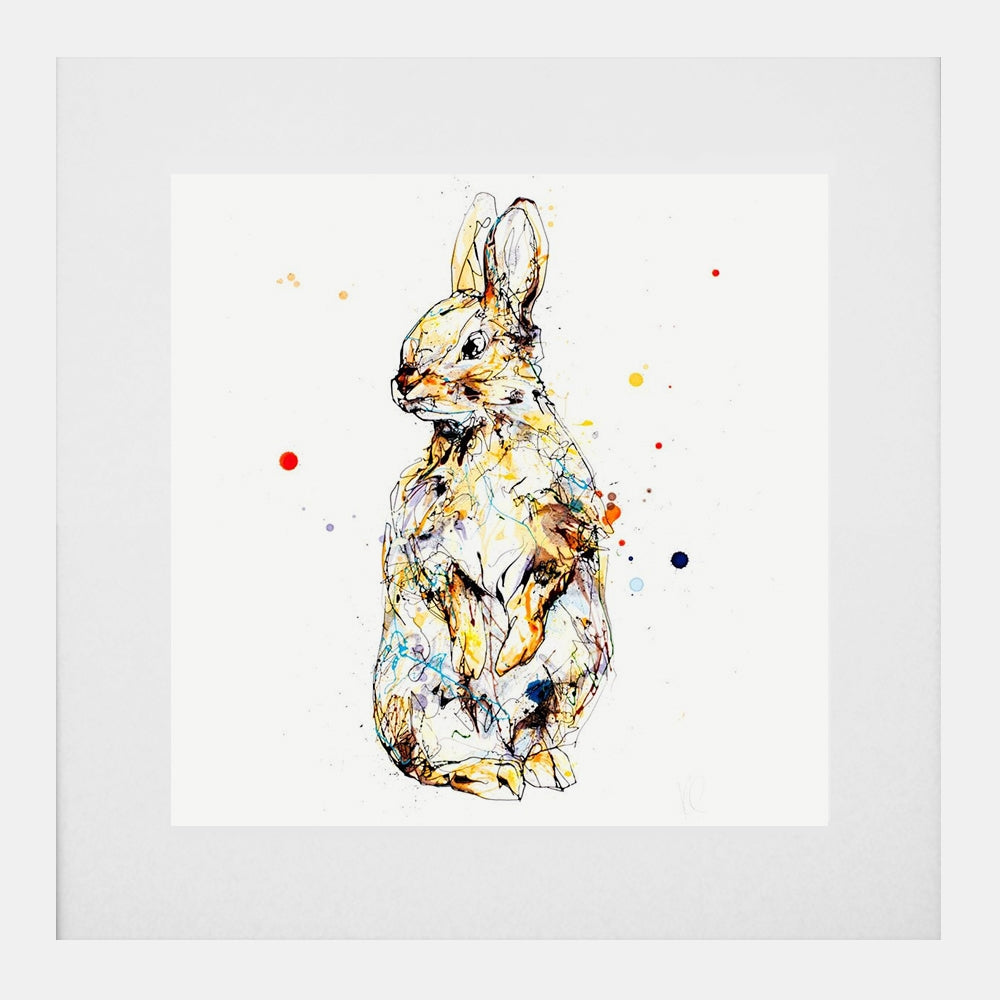Print Open Edition Animals - Pumpkin-30 x 30-White Box Frame (With Mount)