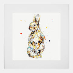Print Open Edition Animals - Pumpkin-30 x 30-White Box Frame (With Mount)