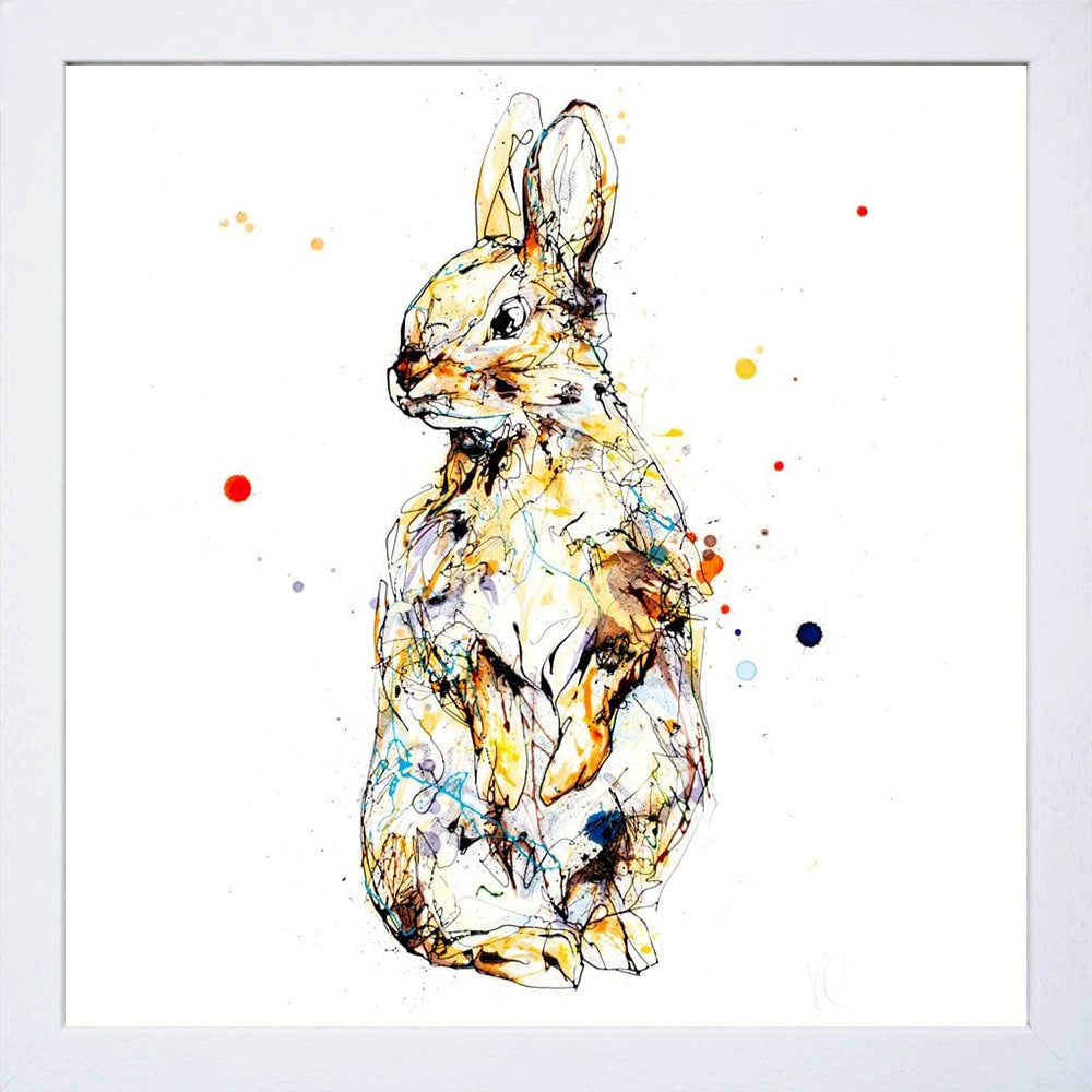 Print Open Edition Animals - Pumpkin-30 x 30-White Box Frame (No Mount)