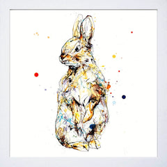 Print Open Edition Animals - Pumpkin-30 x 30-White Box Frame (No Mount)