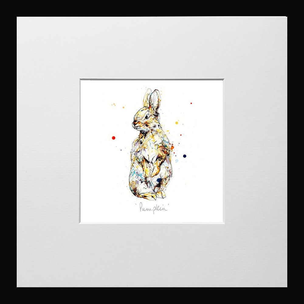 Print Open Edition Animals - Pumpkin-12 x 12-Small Flat Black Frame