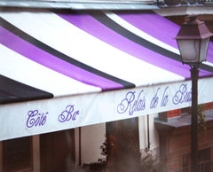 Paris In Purple - Shop Awning Unframed