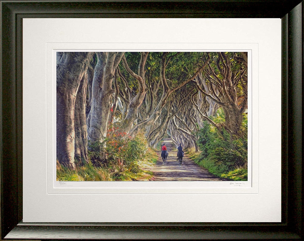 Co Antrim - Quiet Reflection The Dark Hedges Frame Black Moulded 60x47.5