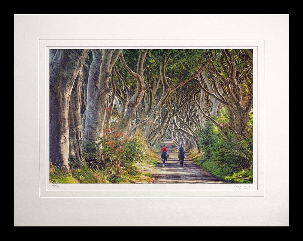 Co Antrim - Quiet Reflection The Dark Hedges Flat Black Frame