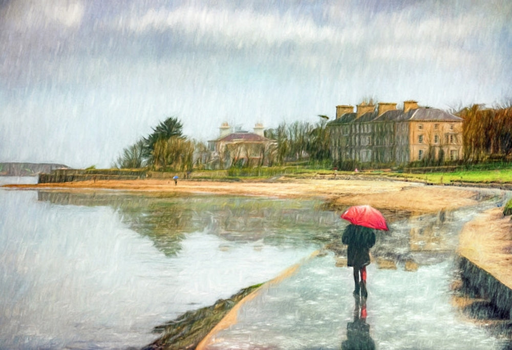 Co Down - Rain Series - Seapark, Holywood