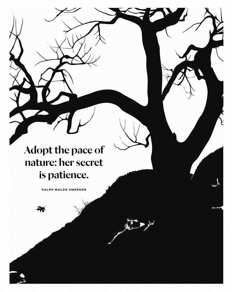 Ralph Waldo Emerson - Nature Unframed