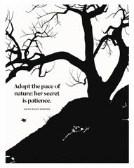 Ralph Waldo Emerson - Nature Unframed