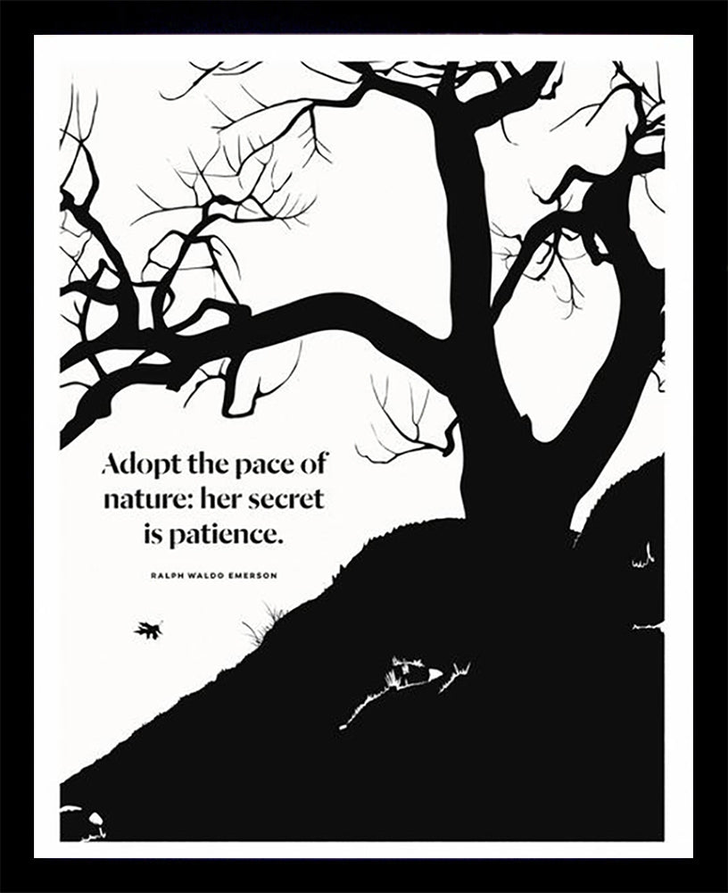 Ralph Waldo Emerson - Nature Black Box Frame