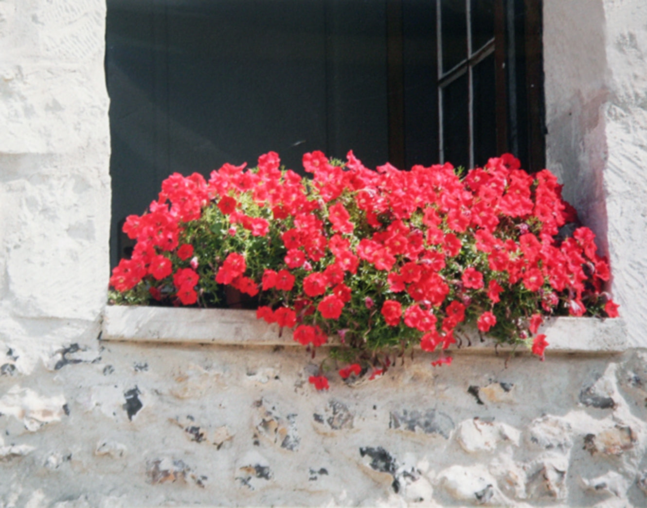 Paris In Red - Window Box Unframed