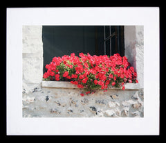 Paris In Red - Window Box Framed