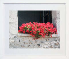 Paris In Red - Window Box Frame White