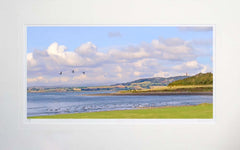 Co Down - Returning to Strangford Unframed 71x45