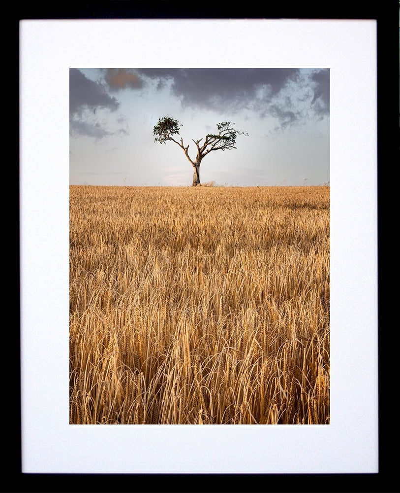 Co Down - Rihanna Tree I Frame Black