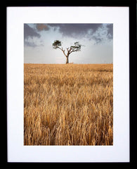 Co Down - Rihanna Tree I Frame Black