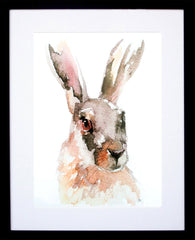 Animals Hare - Irish Hare Frame Black