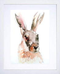 Animals Hare - Irish Hare White Frame