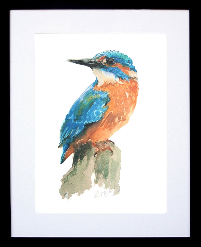 Animals Bird - Kingfisher Frame Black