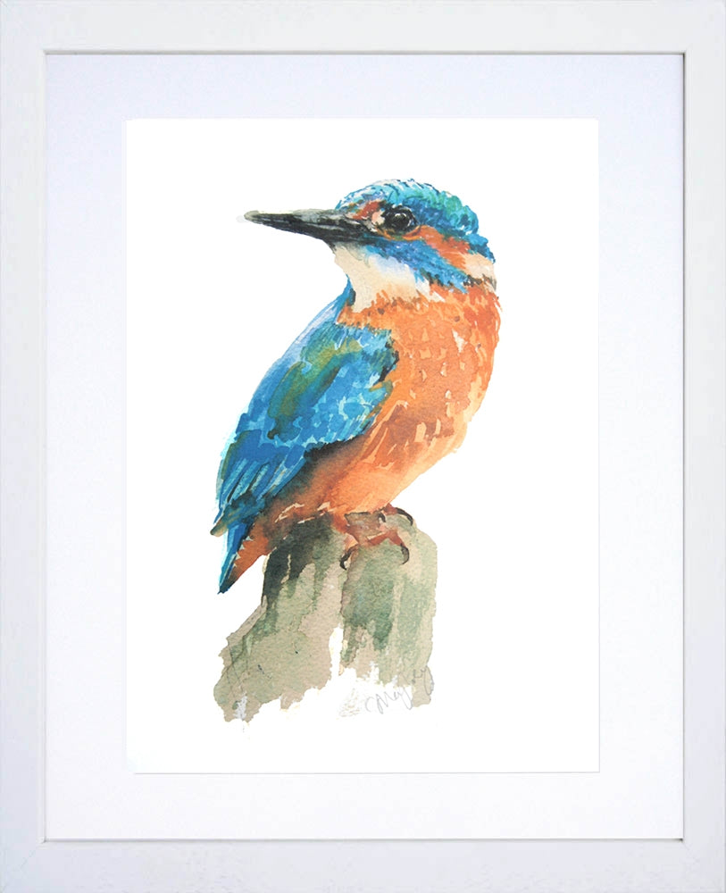 Animals Bird - Kingfisher White Frame