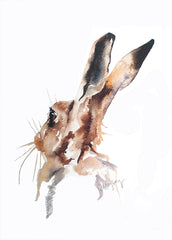 Animals Hare - Patrick Unframed