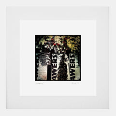 Belfast - Sawers White Frame (With Mount)