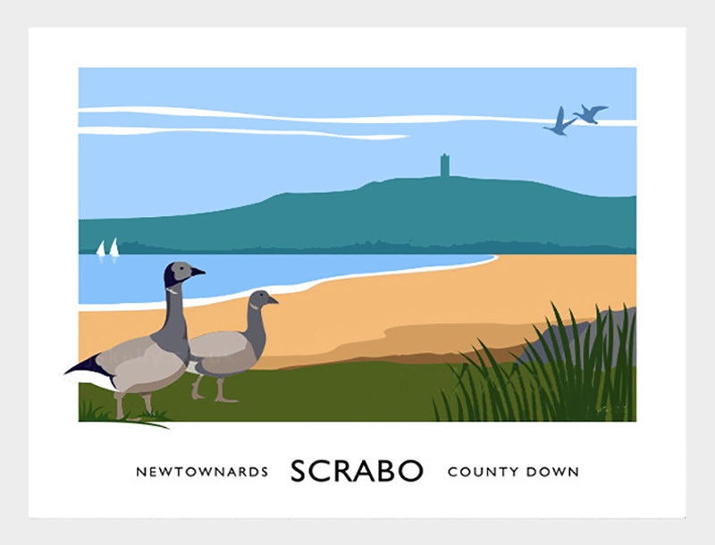 Co Down - Scrabo  Frame White 40x30 No Mount