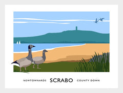 Co Down - Scrabo  Frame White 40x30 No Mount