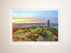 Co Down - Scrabo Towards Belfast Unframed 40X30