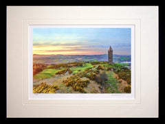 Co Down - Scrabo Towards Belfast Frame Black Box 40x30