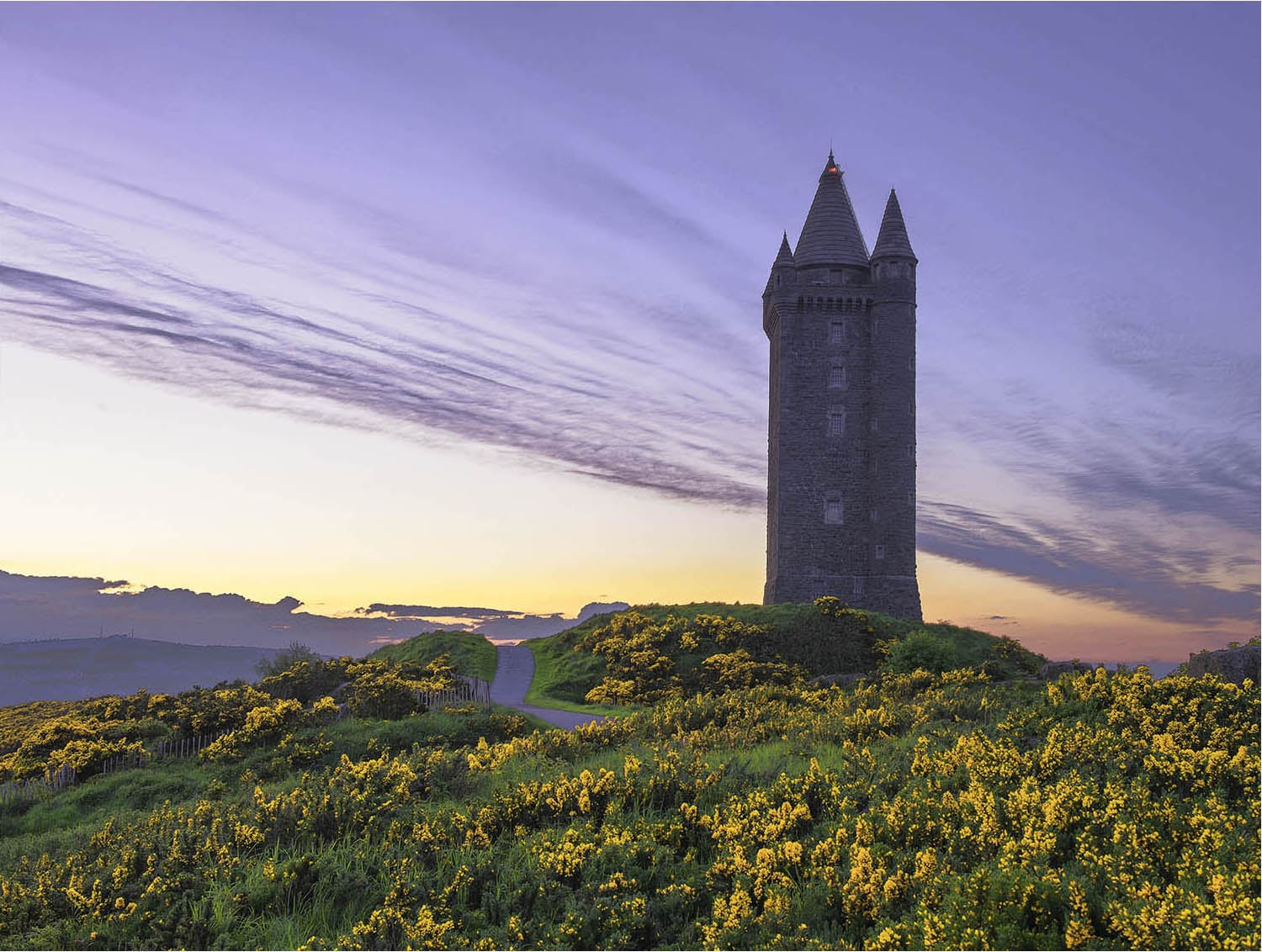 Scrabo Tower Unframed